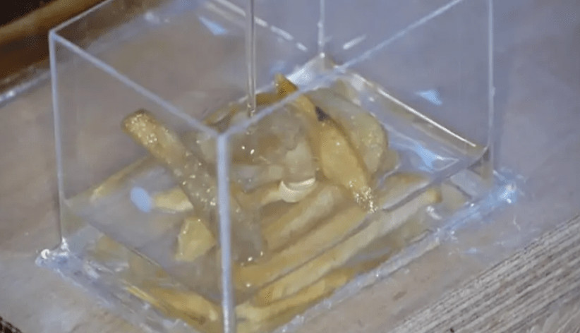 Will Food Rot in Epoxy Resin?